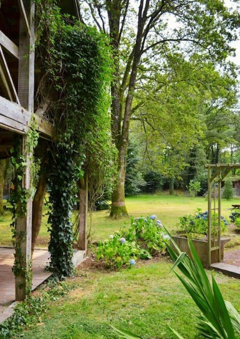 Chalet Cosy Au Coeur De La Foret De Broceliande Beignon Ngoại thất bức ảnh