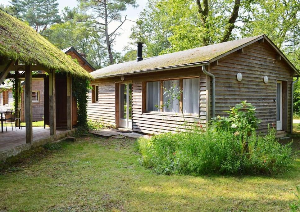 Chalet Cosy Au Coeur De La Foret De Broceliande Beignon Ngoại thất bức ảnh